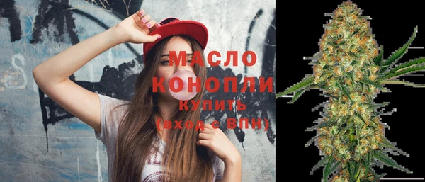 дживик Богородицк